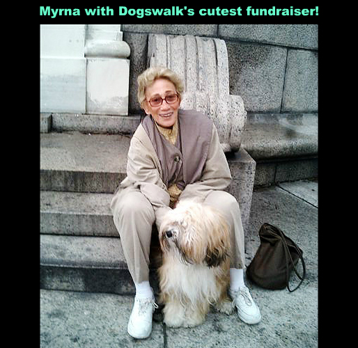 DogsWalk5!