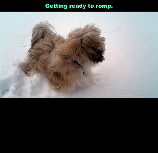 Romp5!
